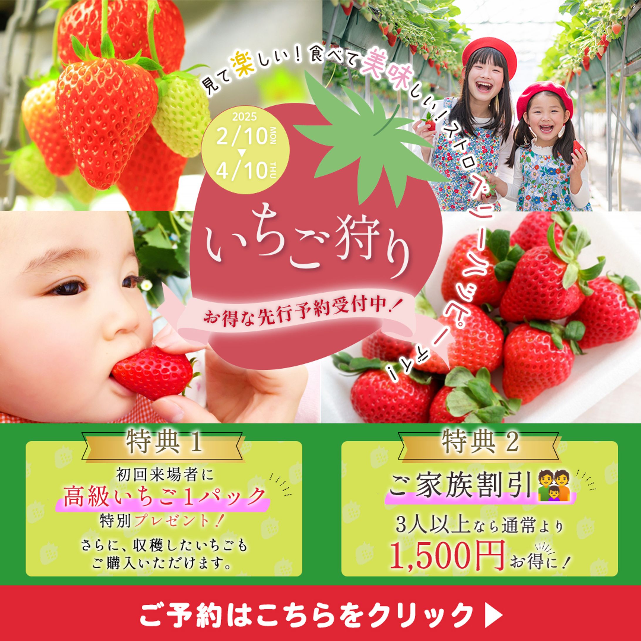 【架空】いちご狩り【バナー】-1