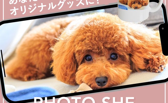 アプリのサービス訴求