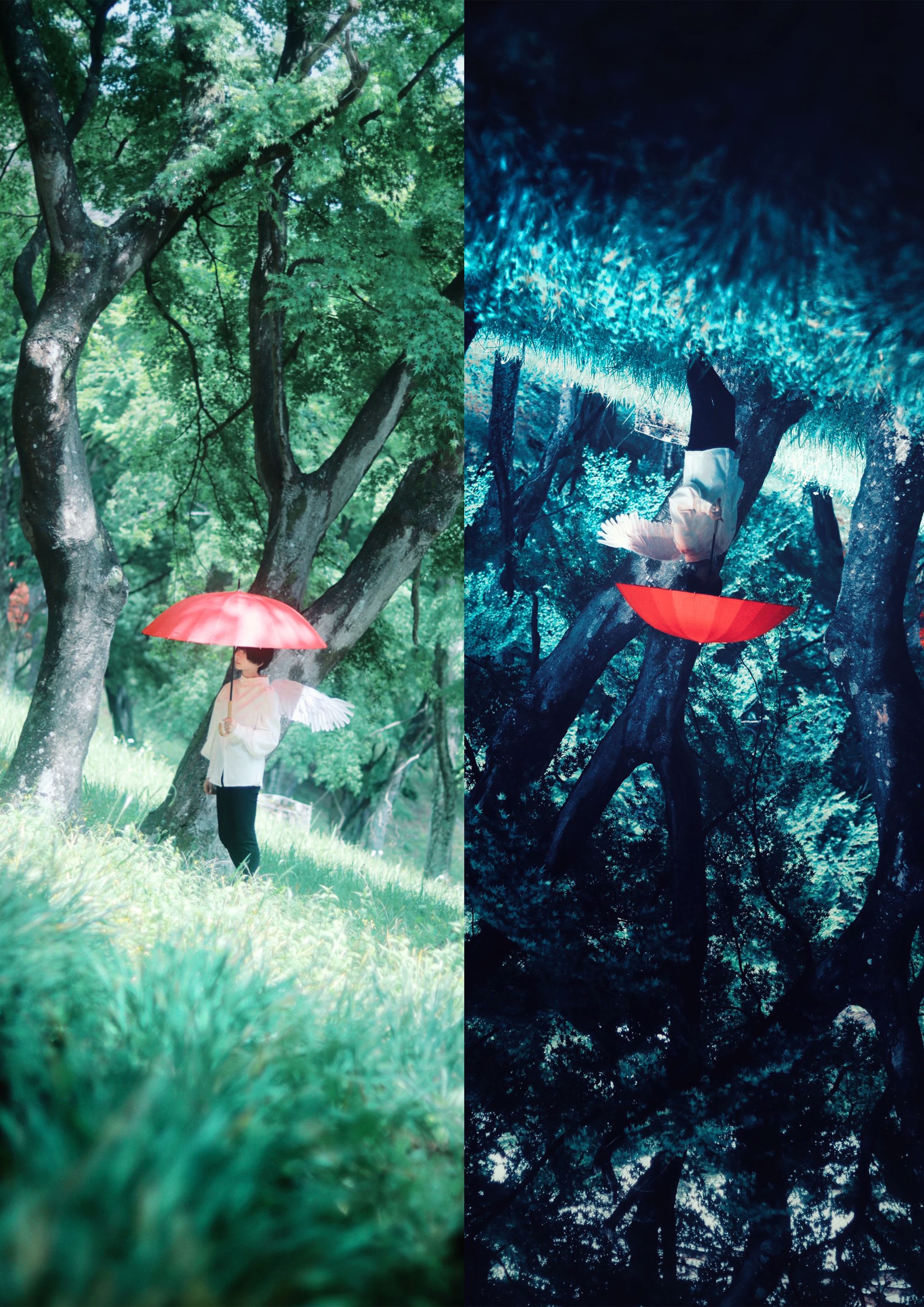 B33C5222 0537 4FB6 9C34 B377E9BFCE26-1