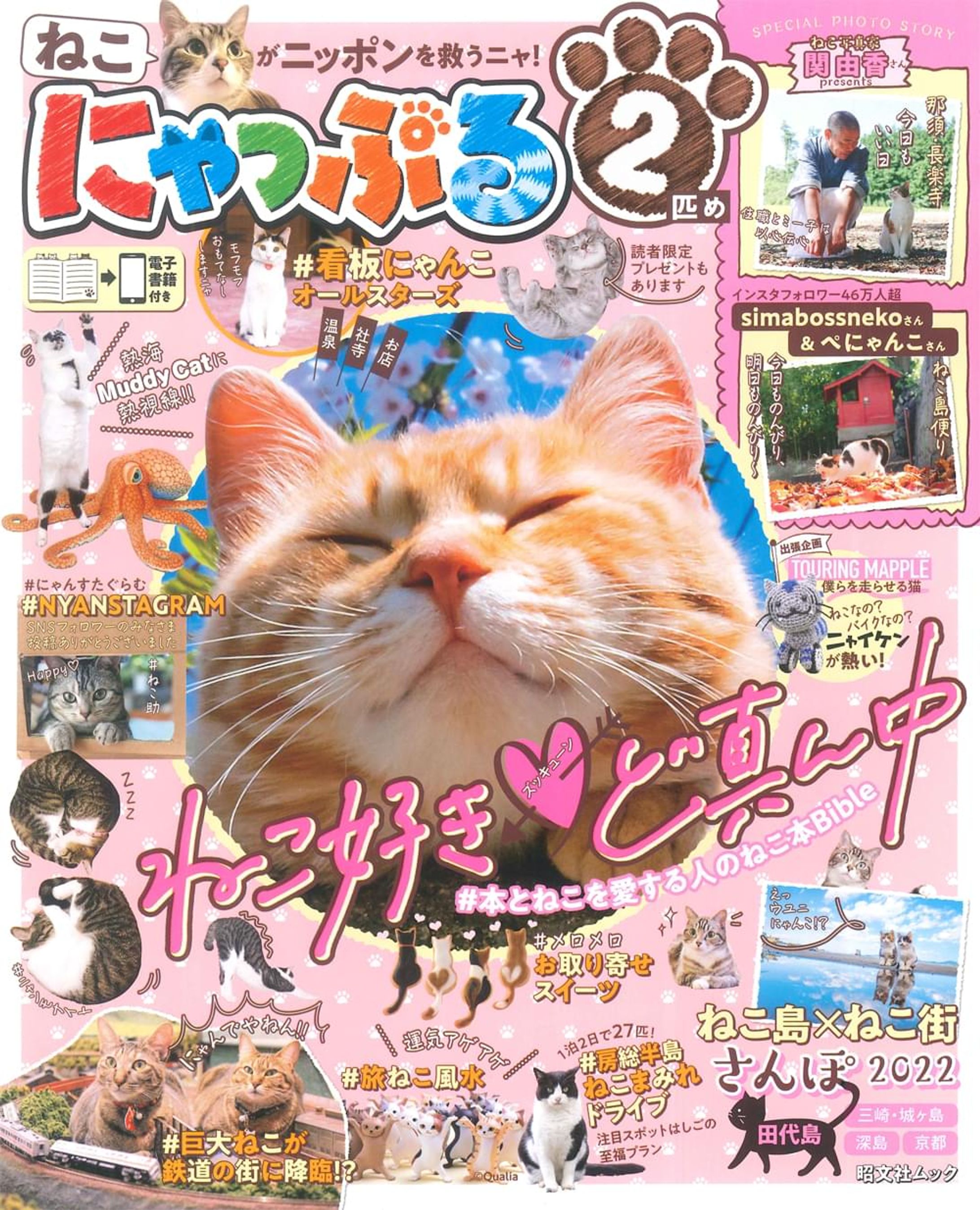 Magazine：Nyapple / にゃっぷる 2-1