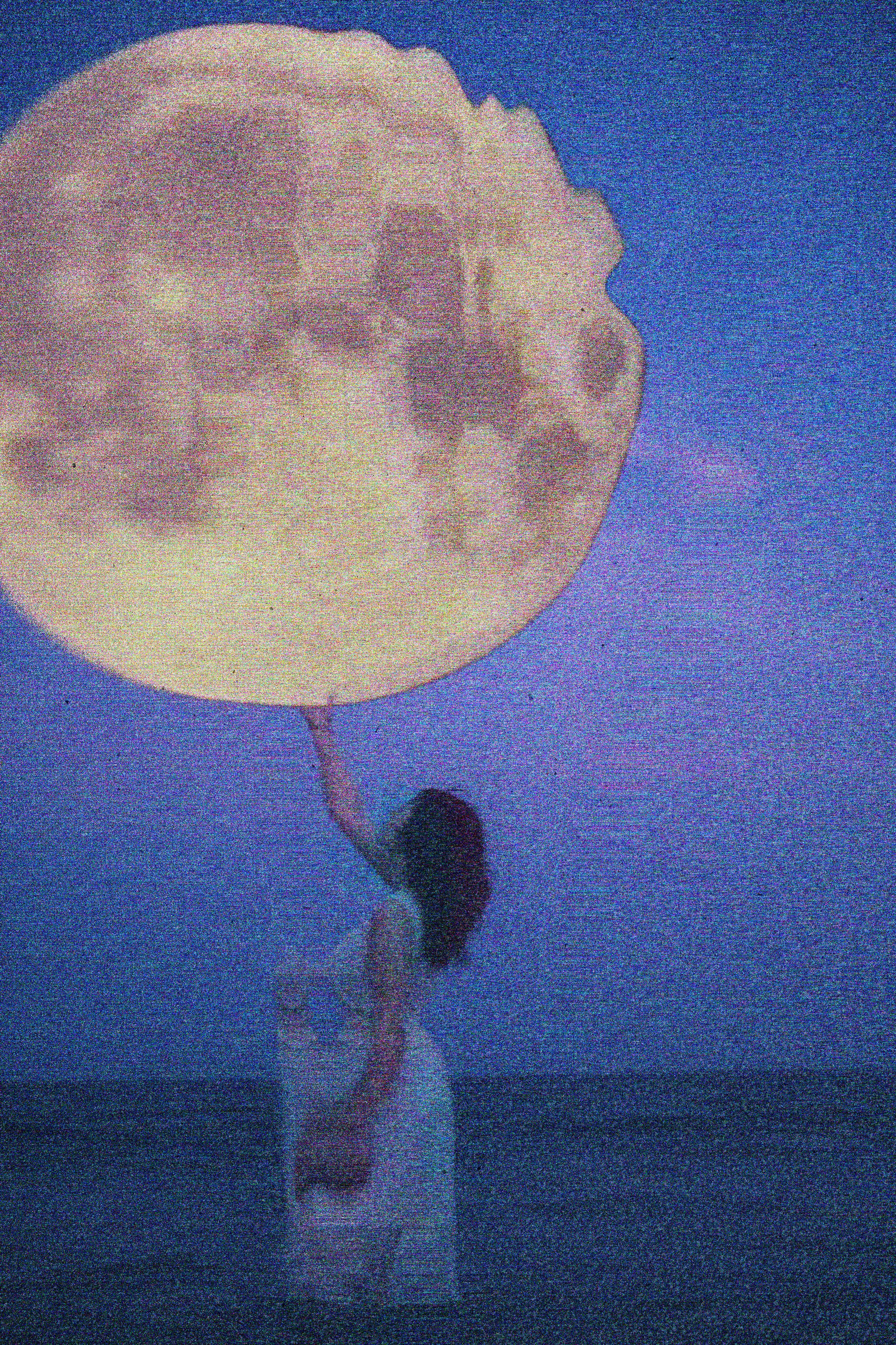 COOKIE MOON-1