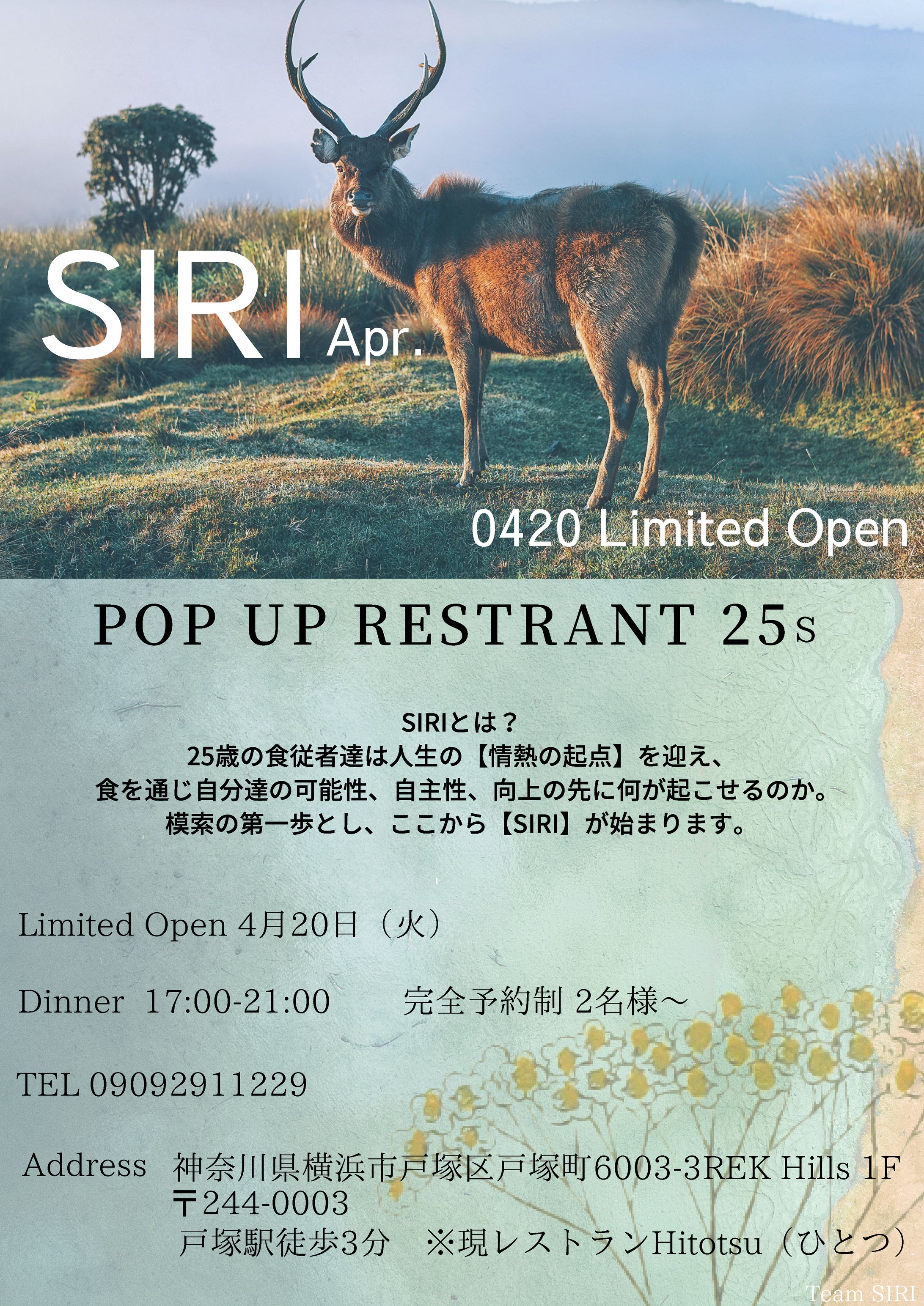 POP UP RESTRANT 【SIRI】25's-1