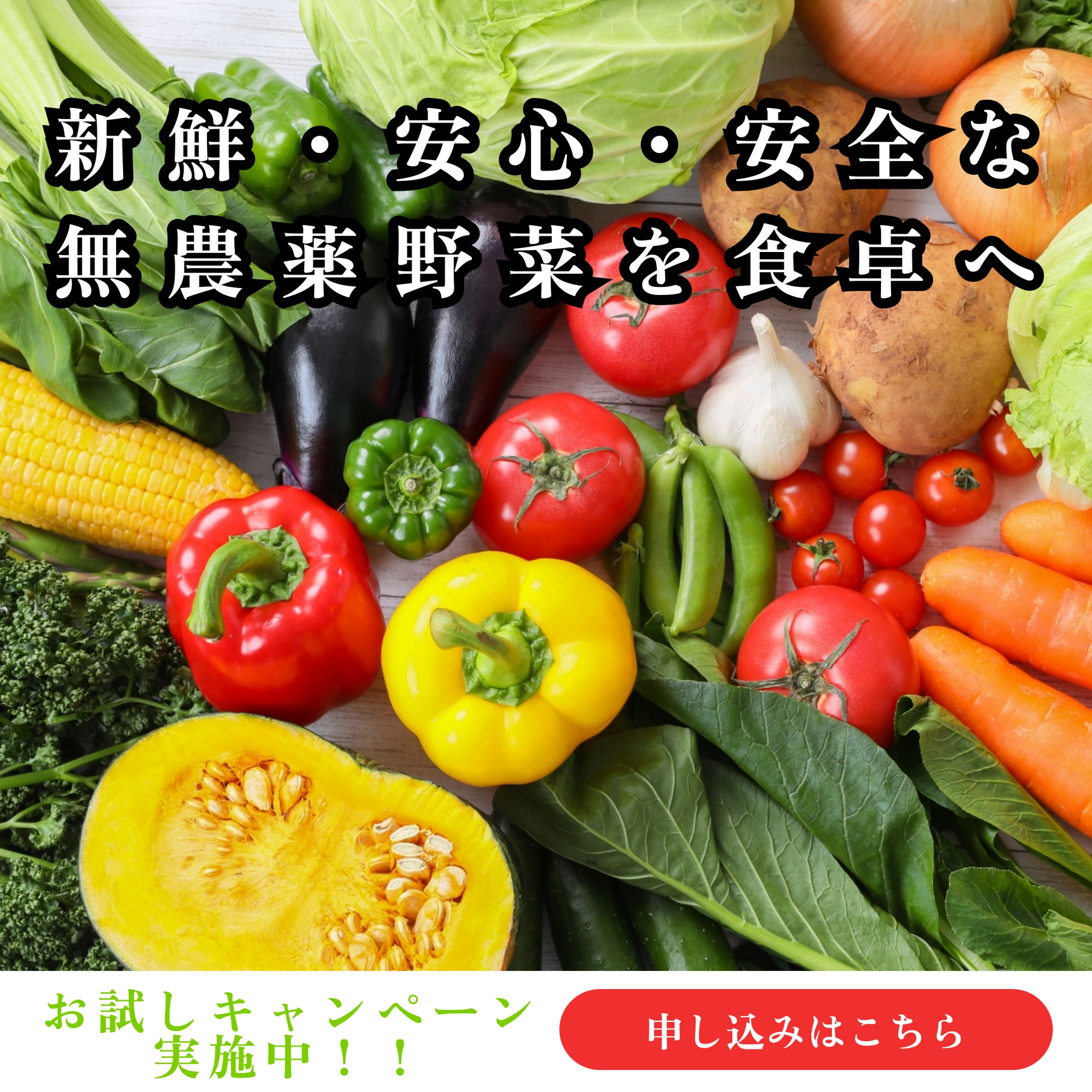 野菜の通販　バナーデザイン-1