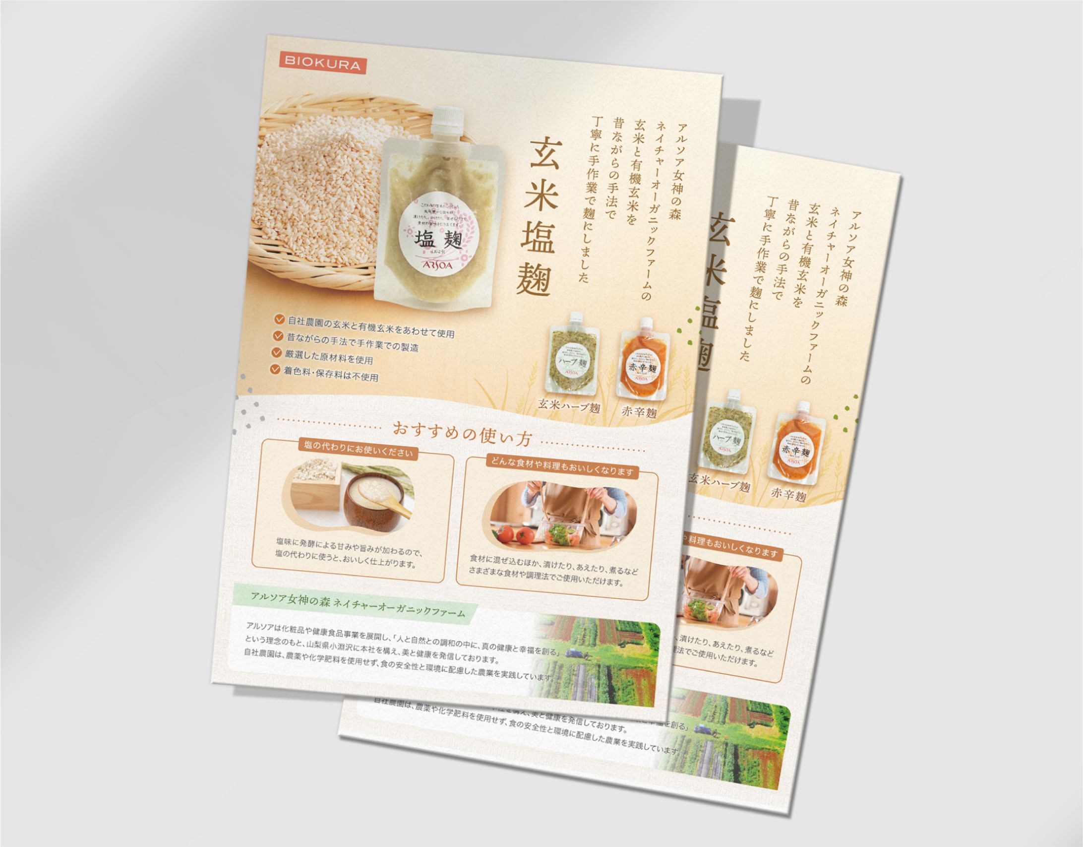 【販促チラシ】食品系ECショップ-1