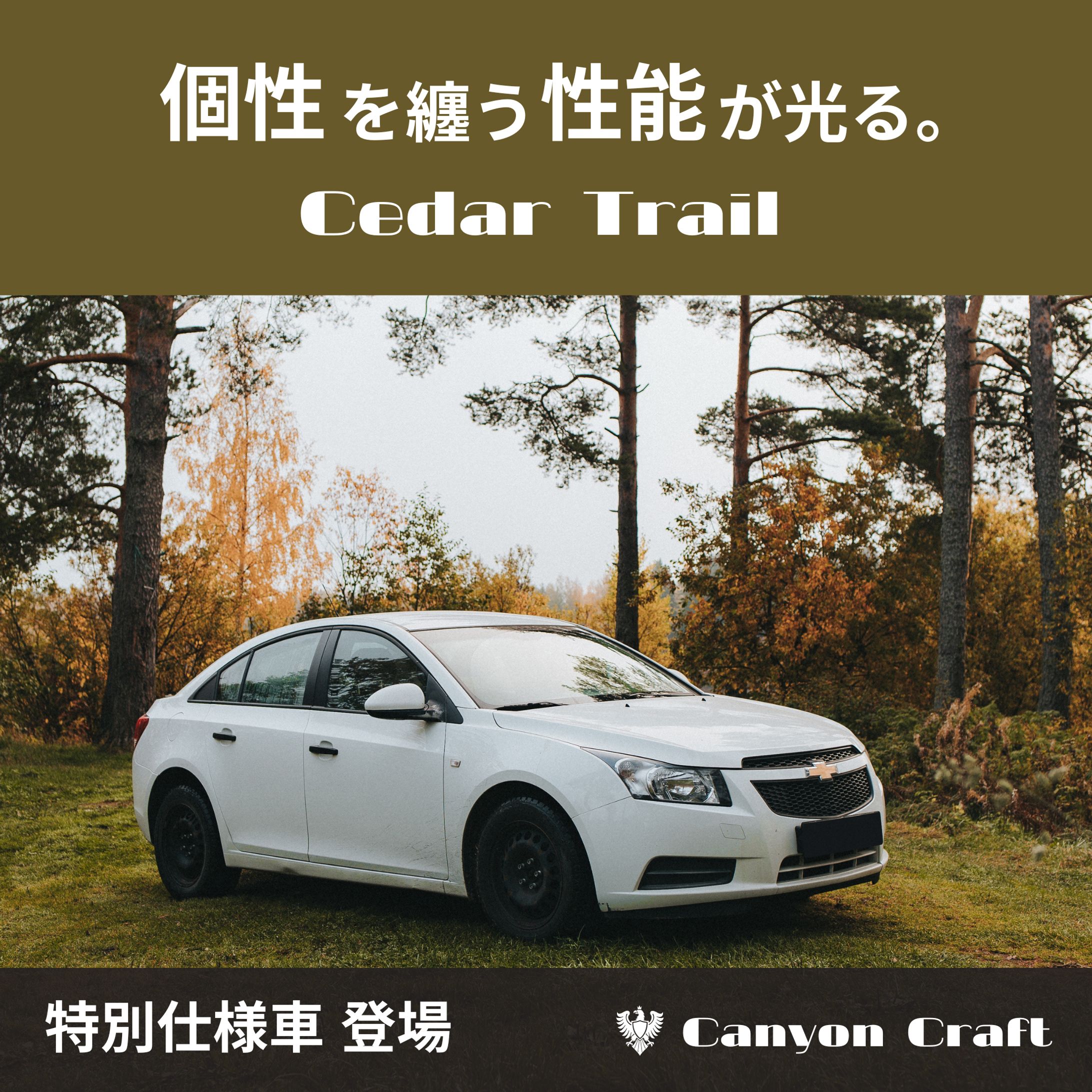 車インスタ広告-1