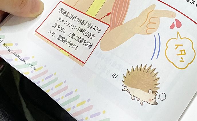 看護学生9月号、神経系のイラスト担当