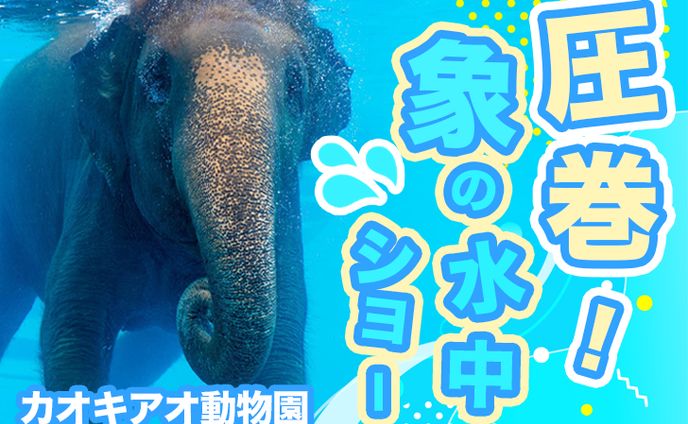 動物サムネイル