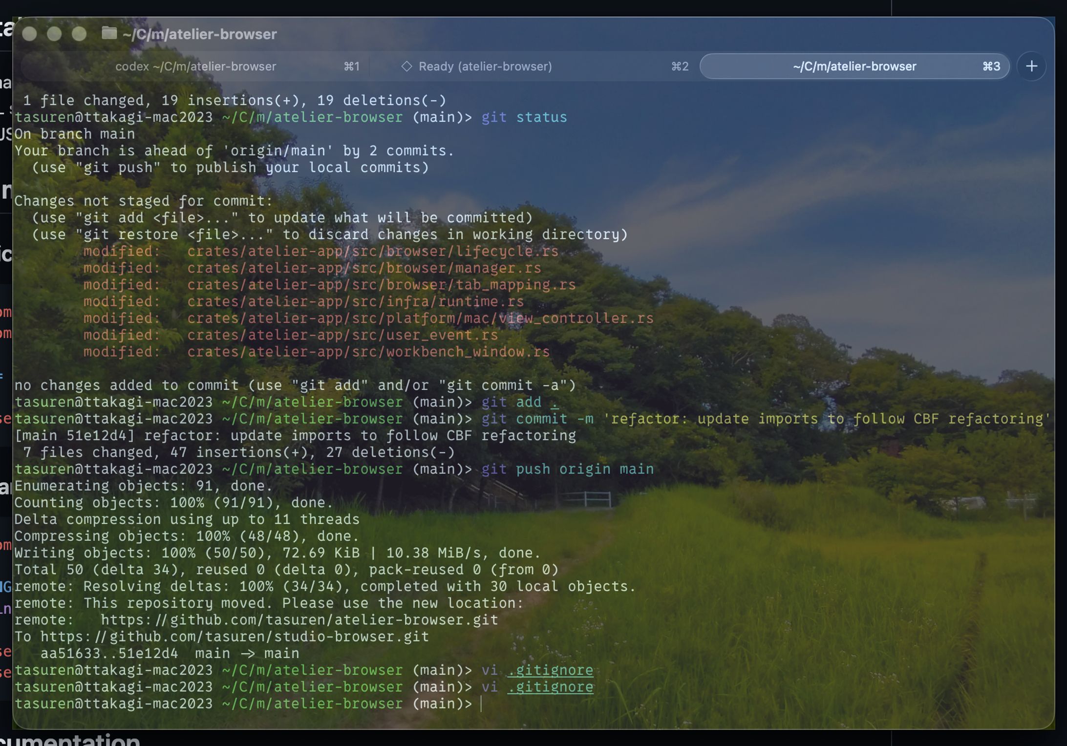 overkami - ウィンドウ壁紙アプリ-1