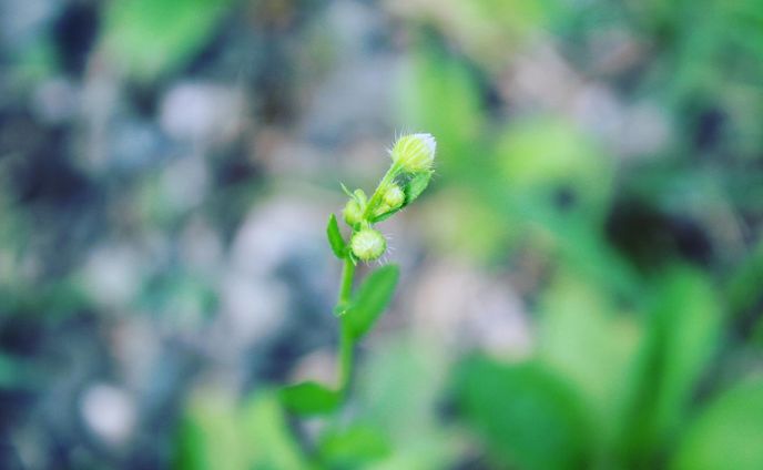 #写真
#しゃしんすきなひとと繋がりたい 
#写真撮ってる人と繋がりたい 
#写真好きな人と繋がりたい