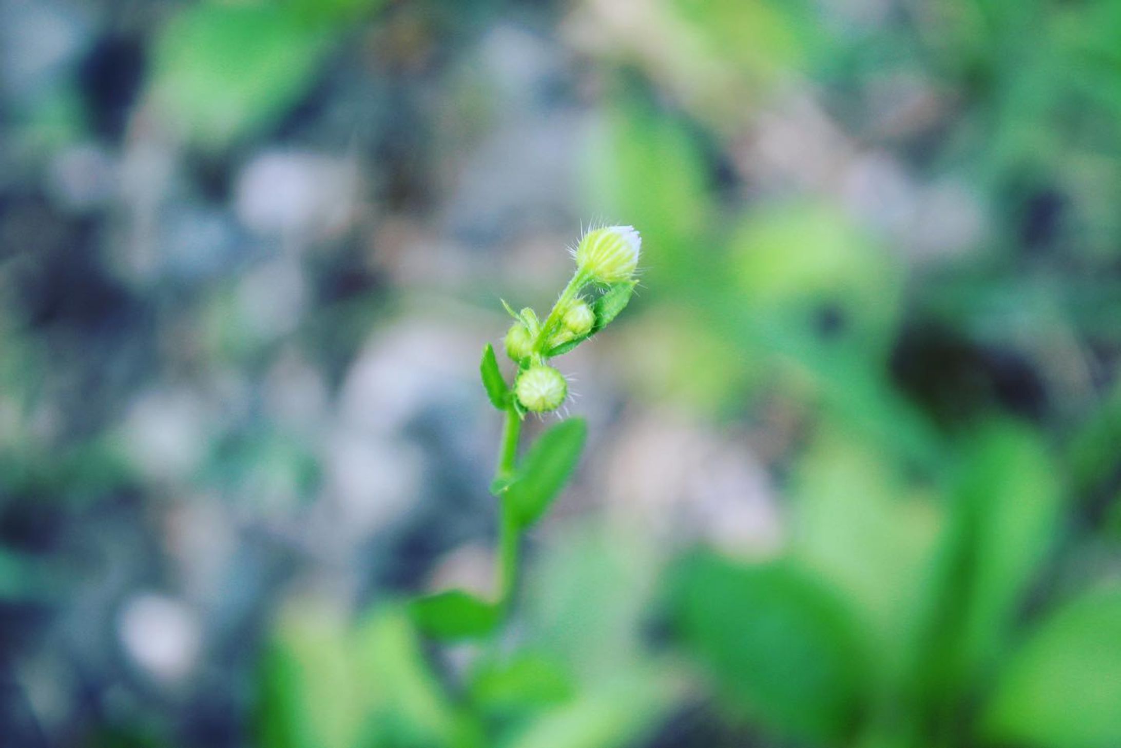 #写真
#しゃしんすきなひとと繋がりたい 
#写真撮ってる人と繋がりたい 
#写真好きな人と繋がりたい-1