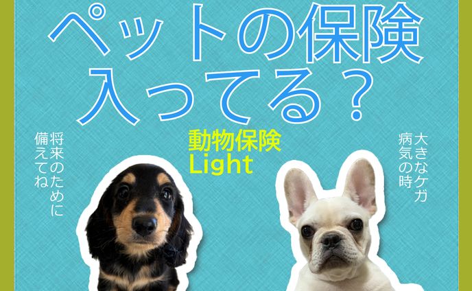 ペット保険