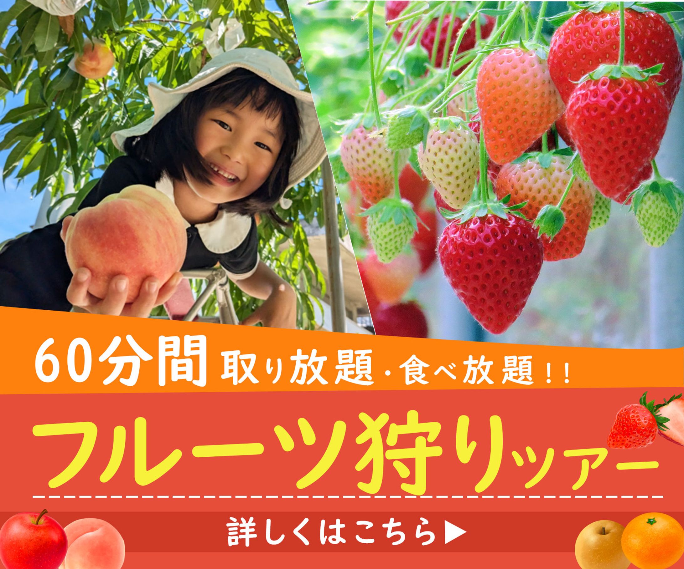 バナー：フルーツ狩り-1