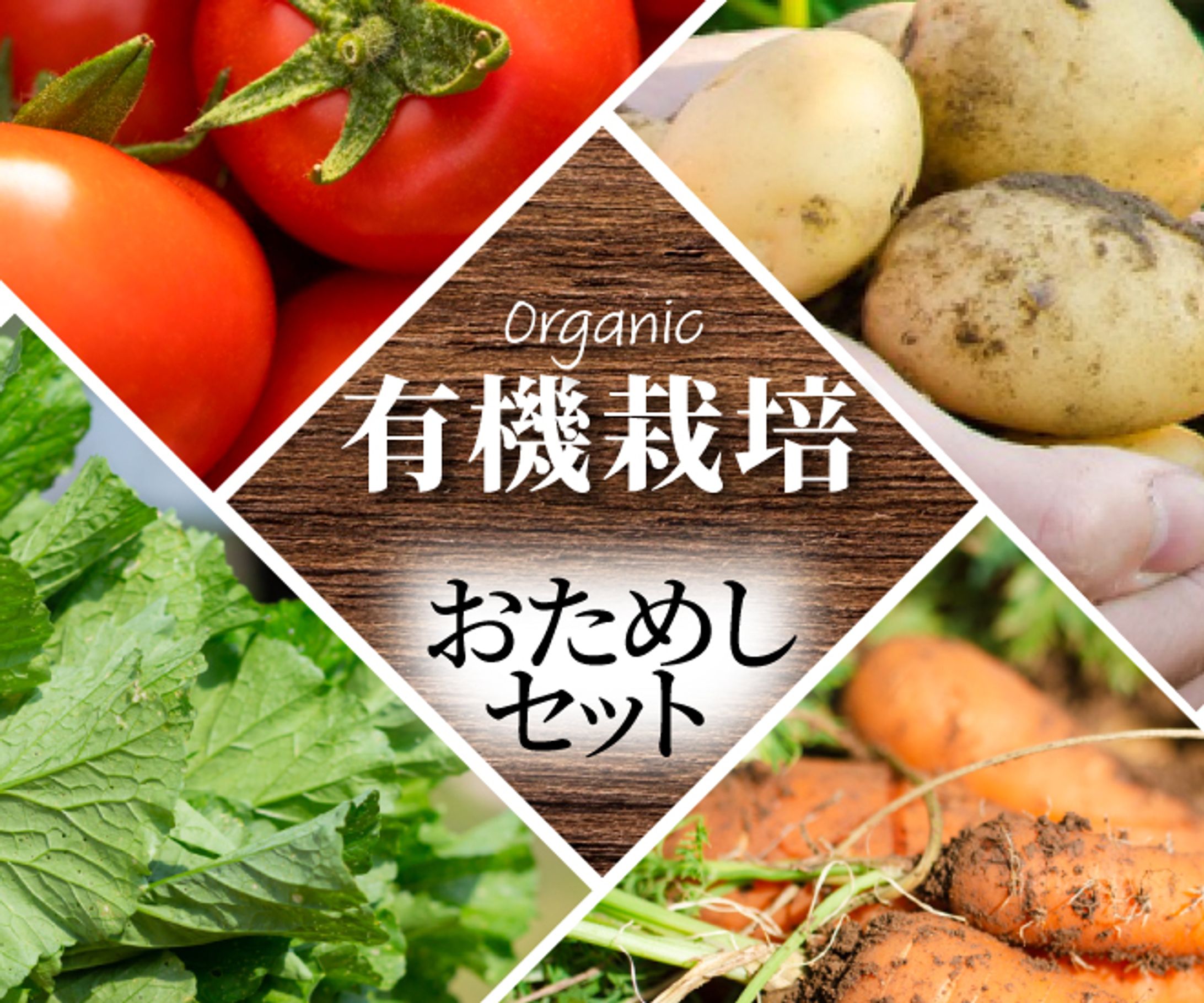 【サンプル】サービス出品用_農業2-1