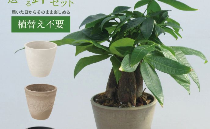 楽天市場（商品ページ制作）