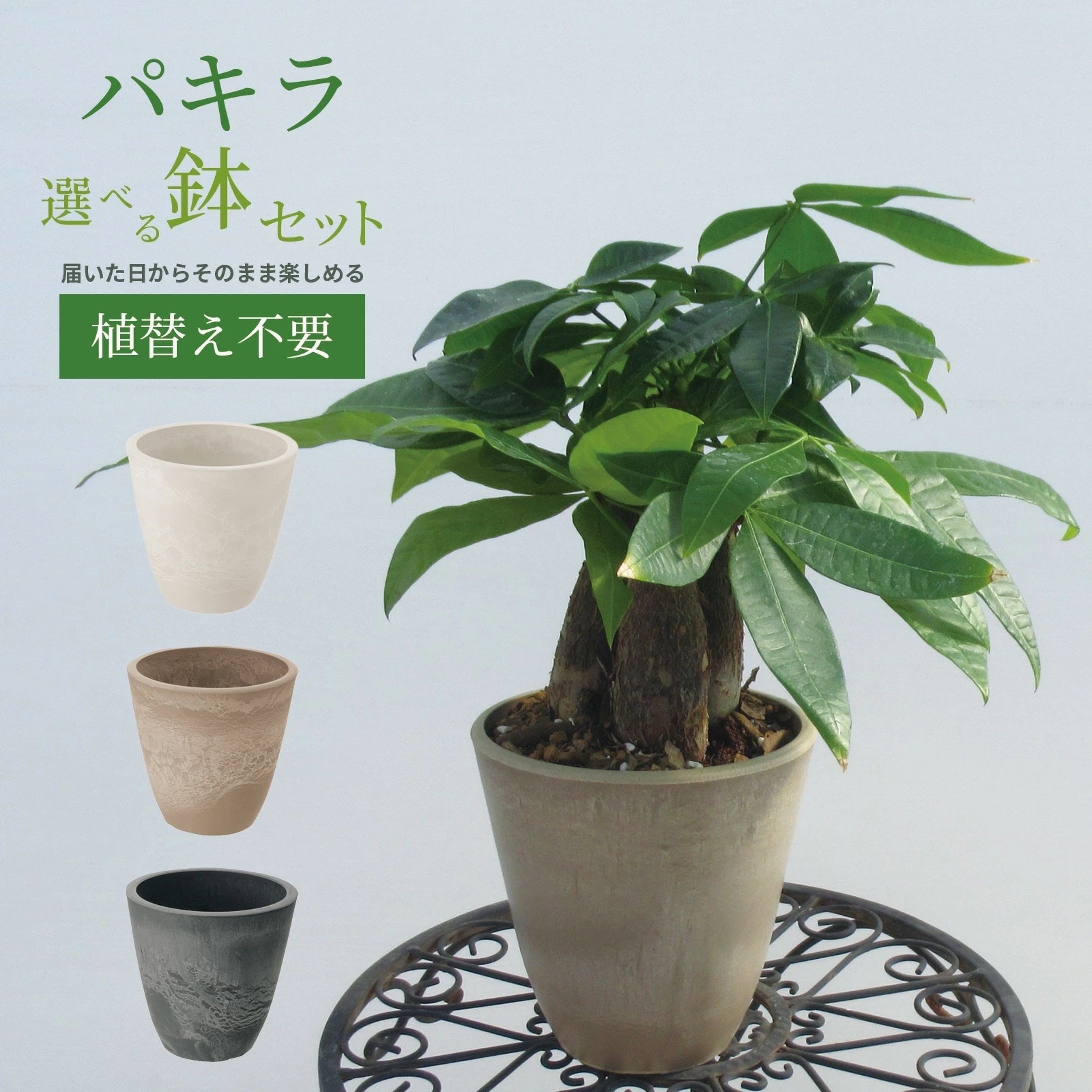 楽天市場（商品ページ制作）-1