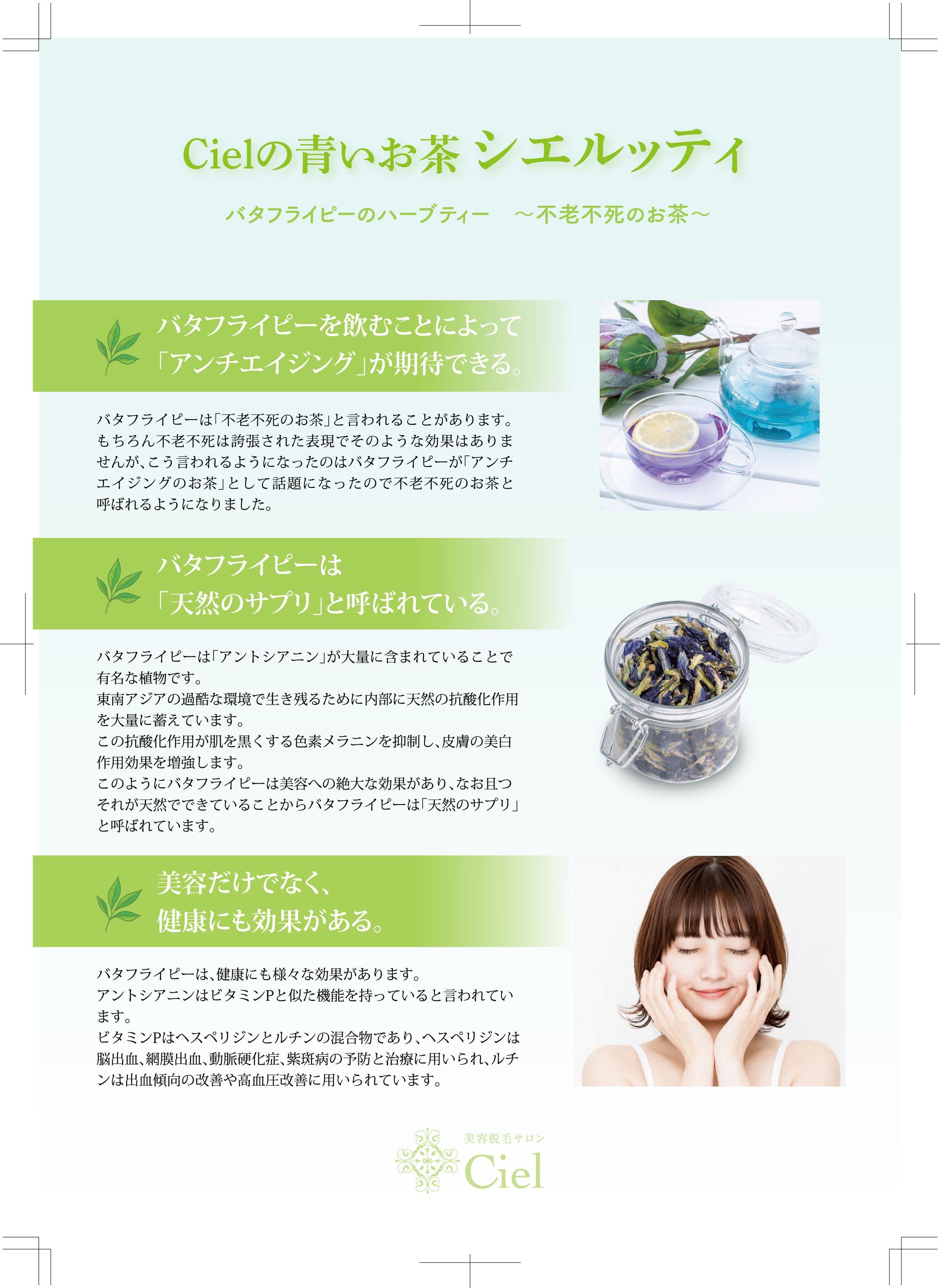 商品紹介チラシ作成-1