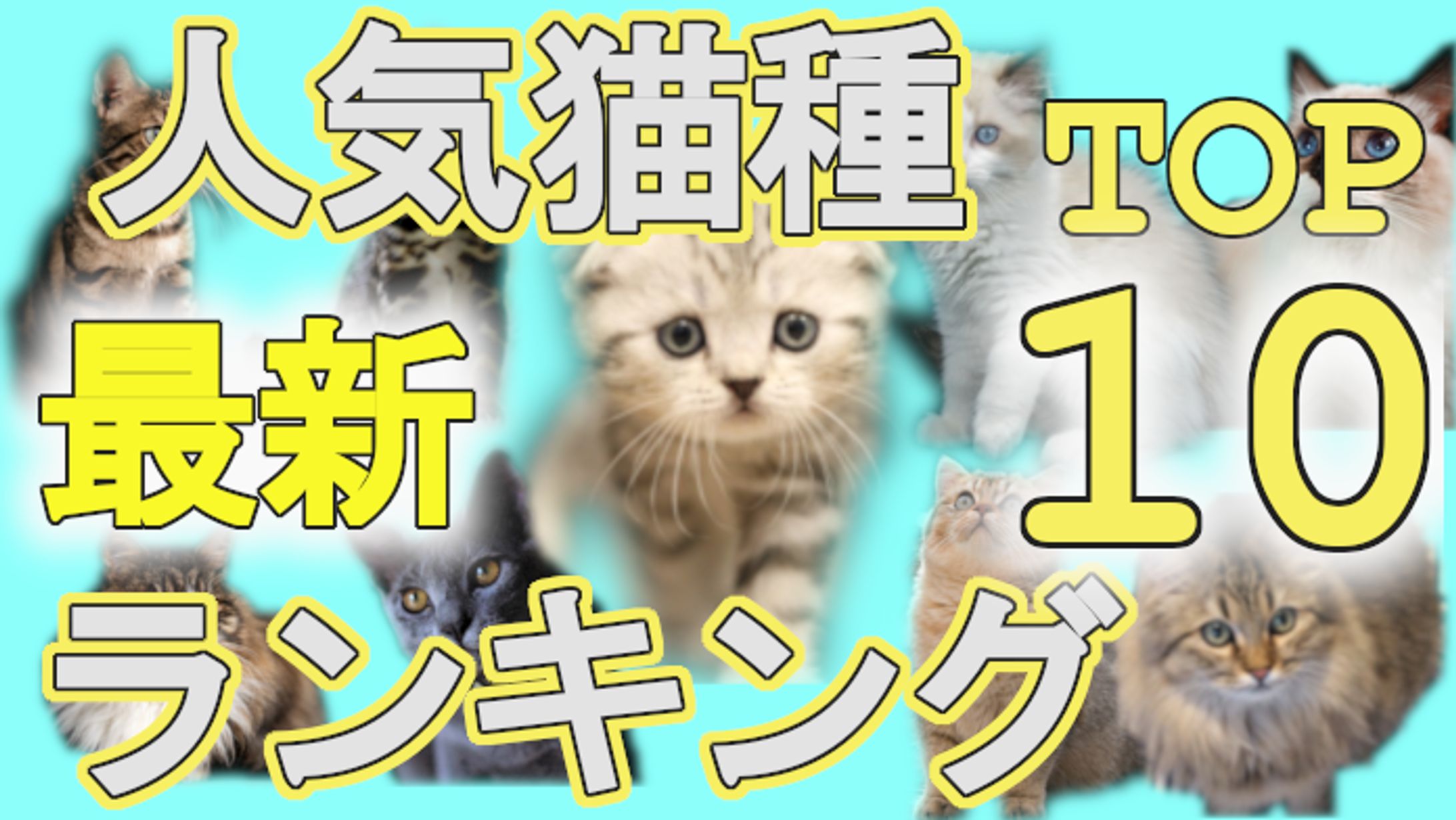 サムネイル画像-1