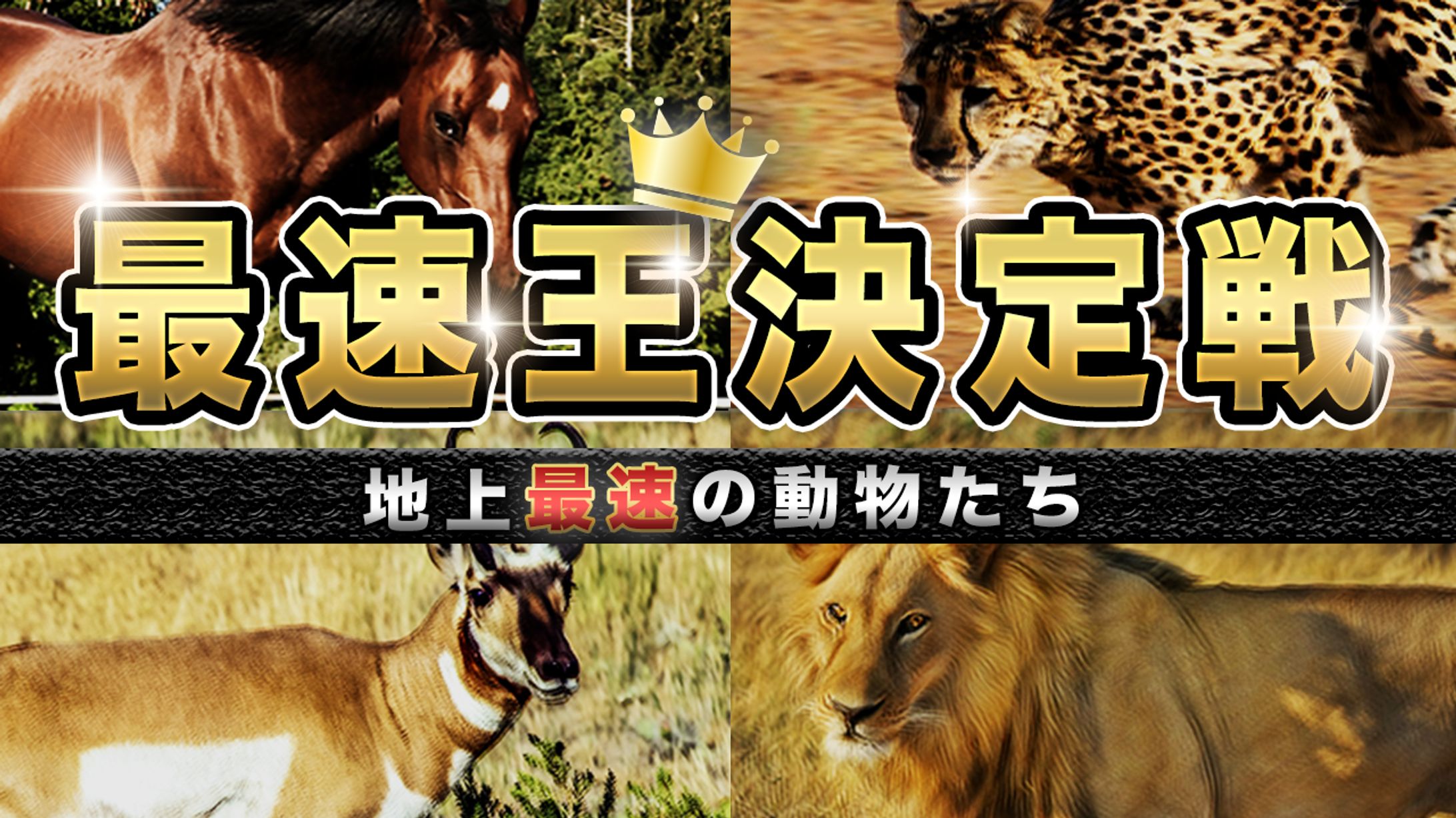 生物系サムネイル-1