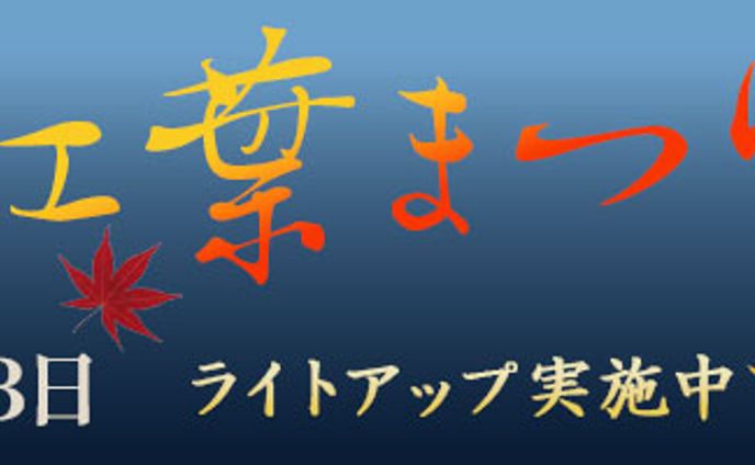 Lesson 5 富士日本湖紅葉祭り