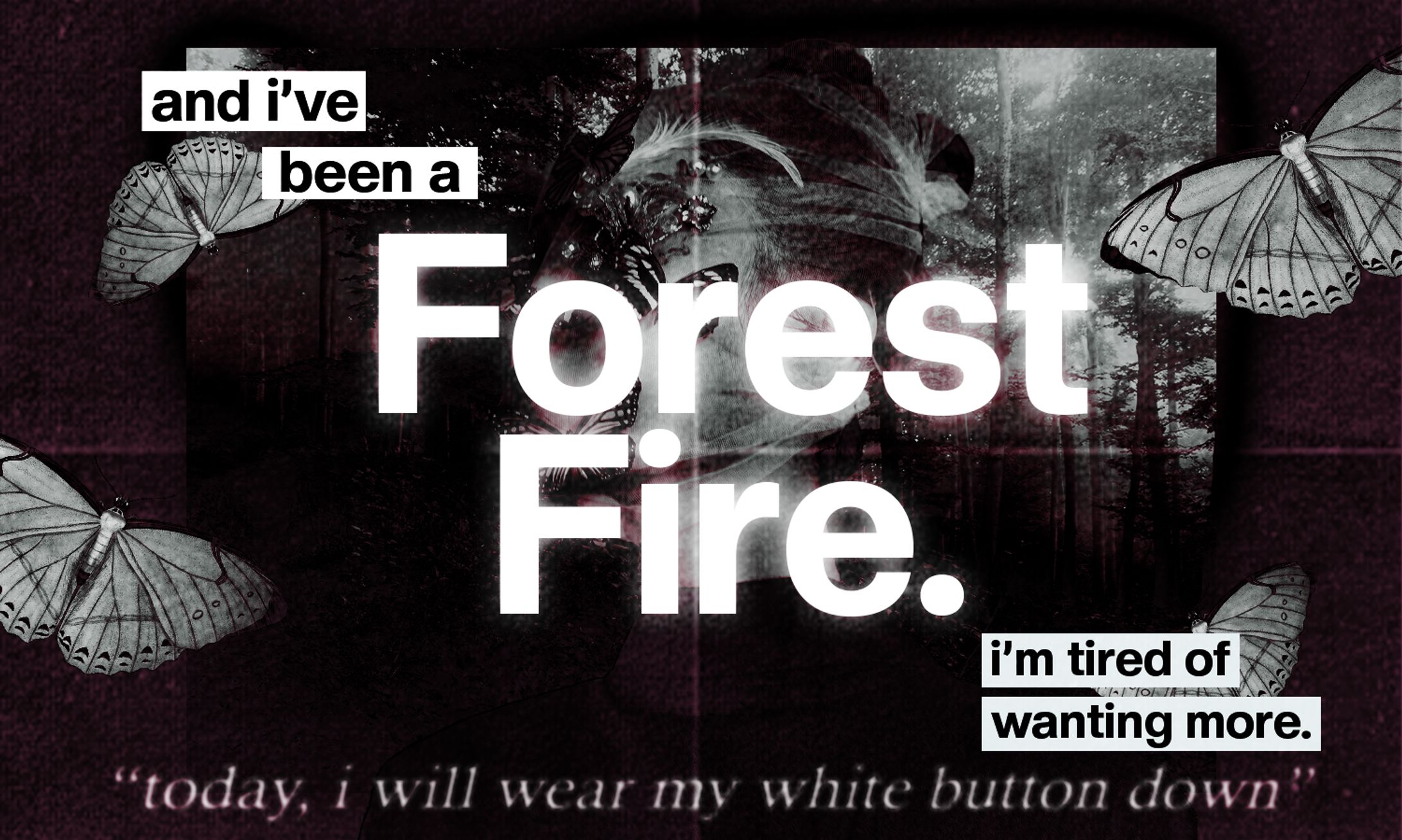 MISC: "I'VE BEEN A FOREST FIRE."-1