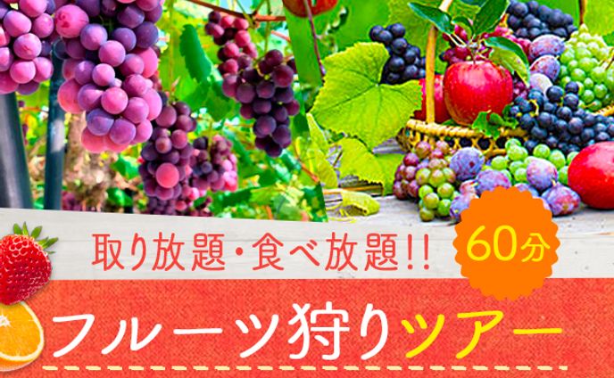 バナー【フルーツ狩りツアー】
