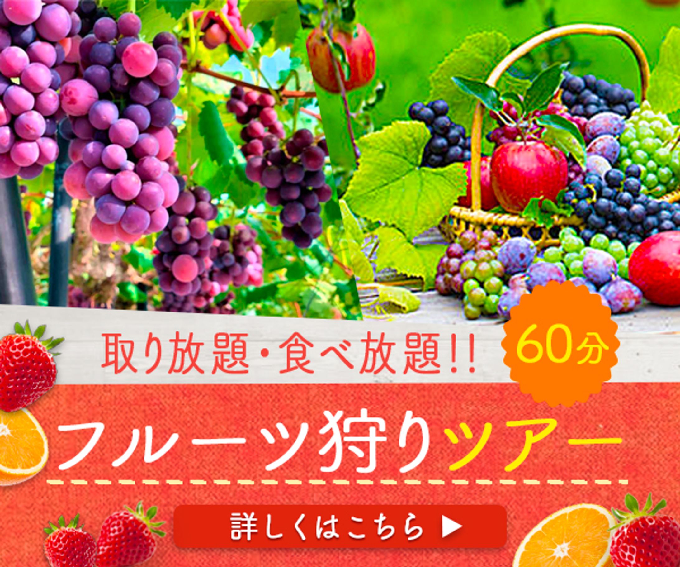 バナー【フルーツ狩りツアー】-1