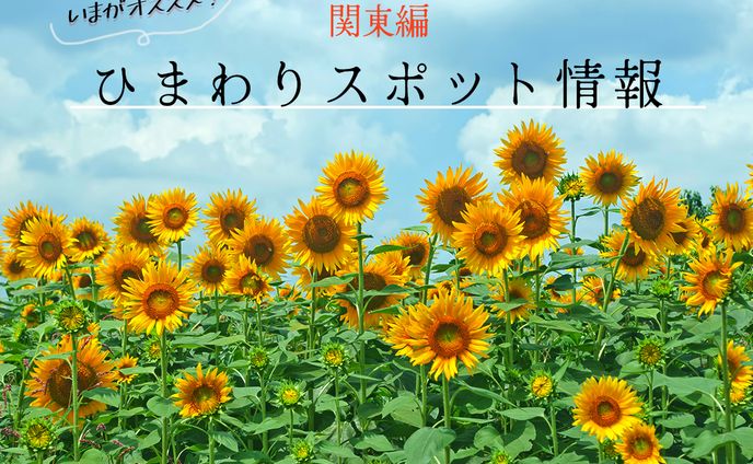 架空バナー②