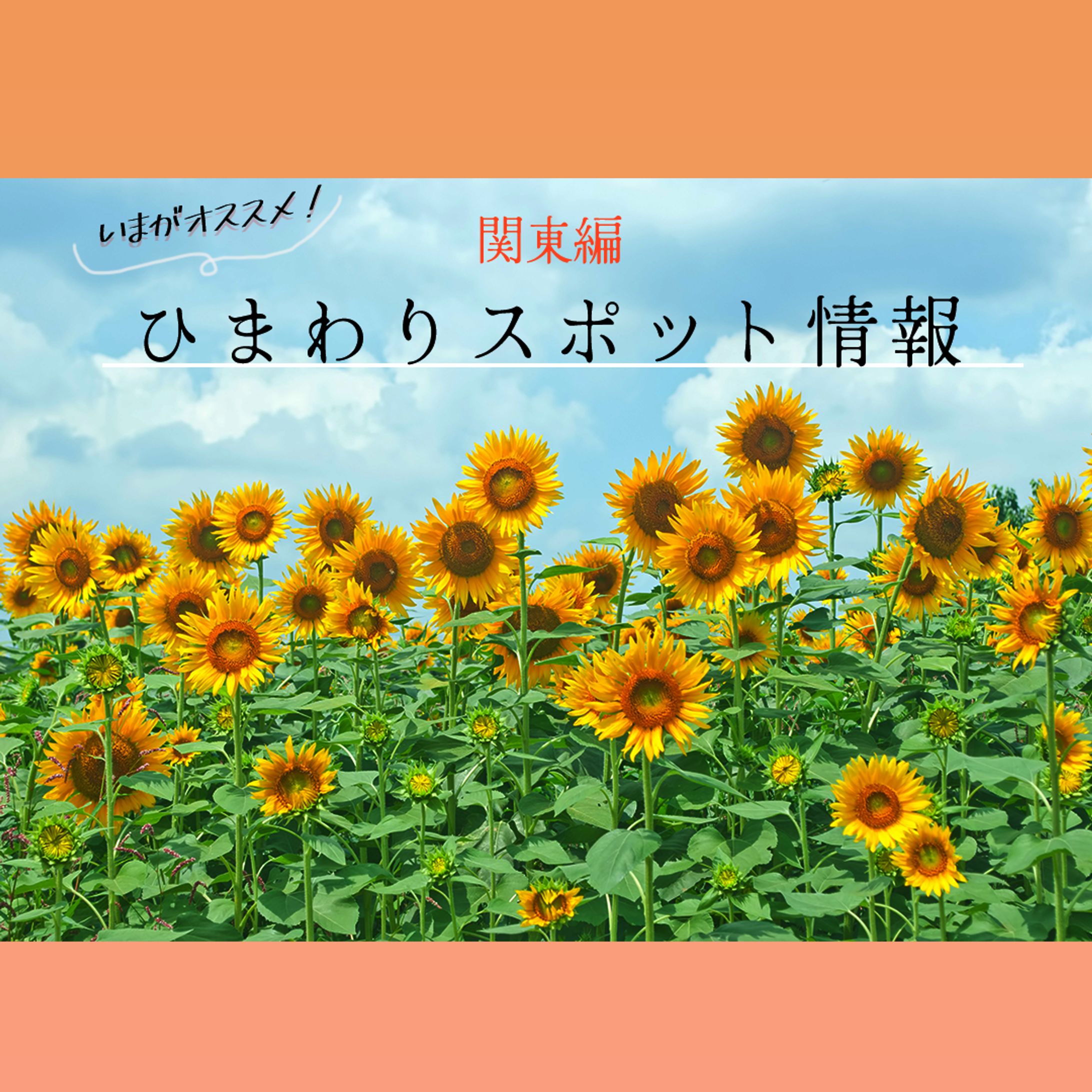 架空バナー②-1