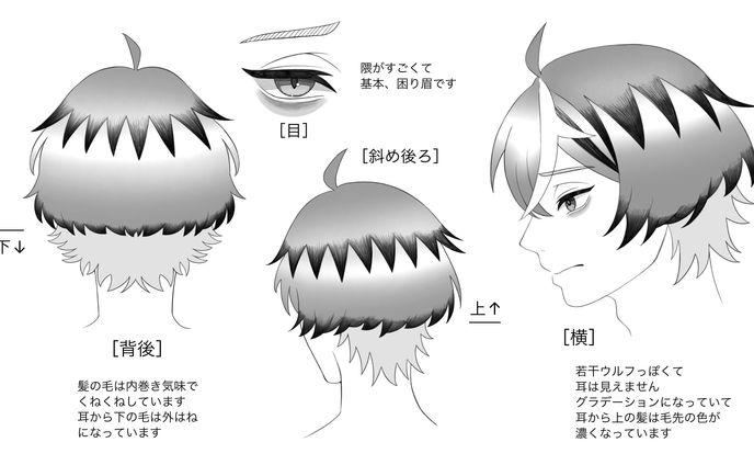 sample