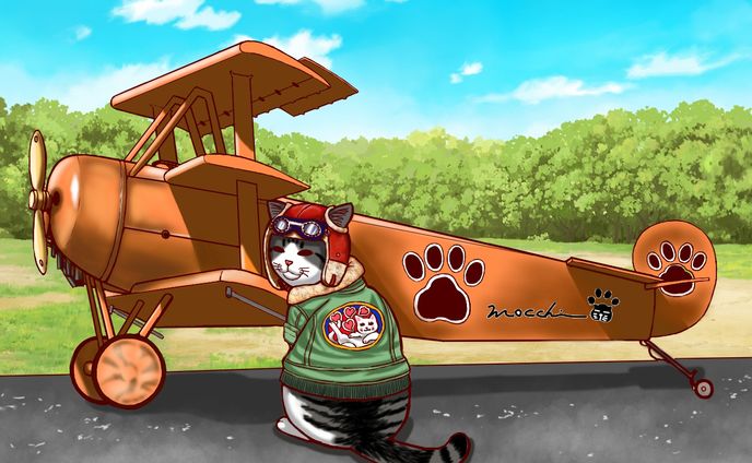 飛行機猫