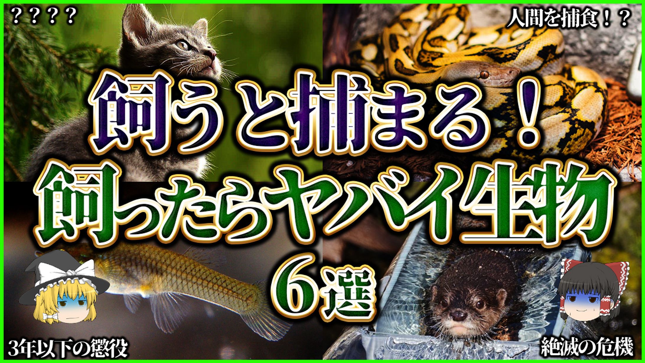 ゆっくりサムネイル-1