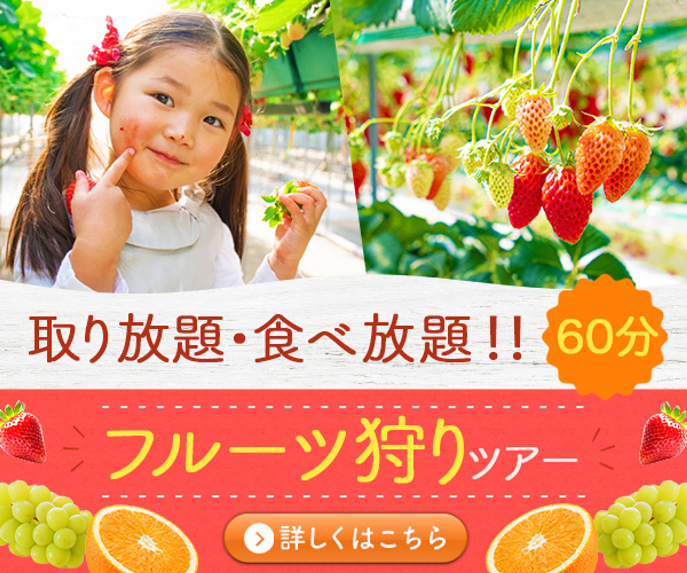 バナー:フルーツ狩り-1