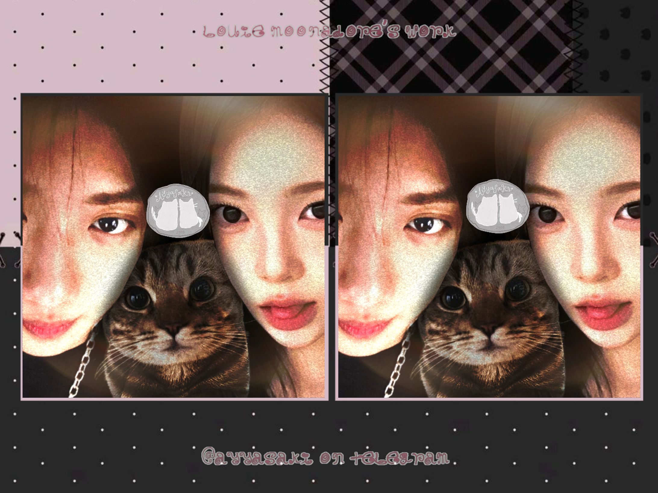 WNI CAT. -1