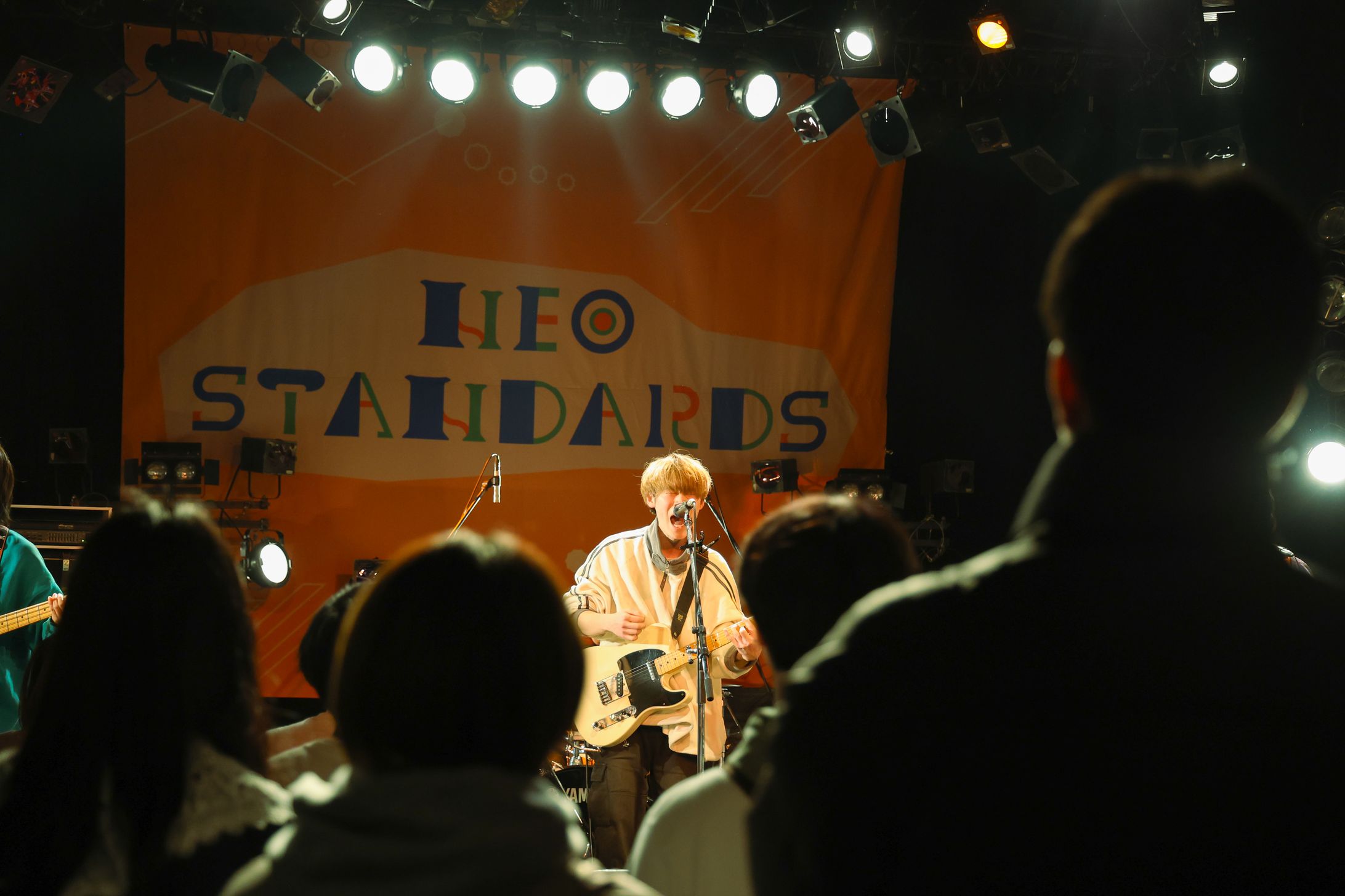 ベアディーコリー　ライブ写真-1