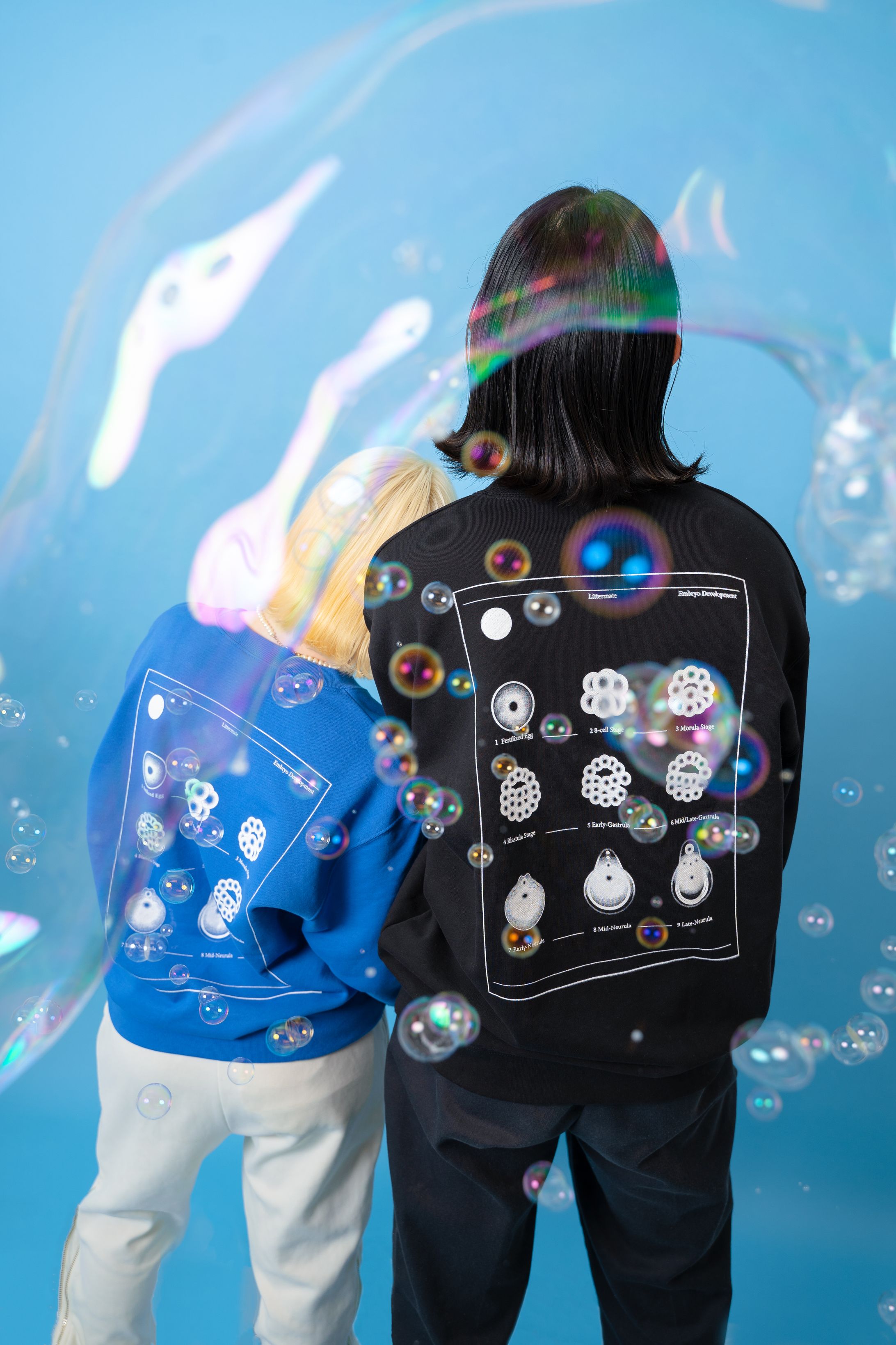Littermate 2022/春 - Embryo Development Sweatshirt / T-shirt-1