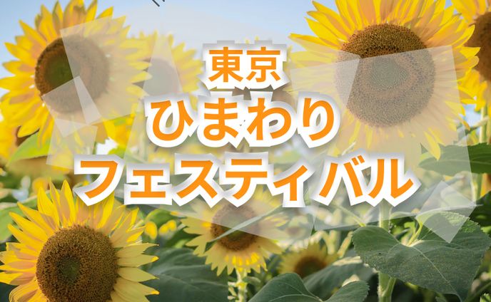 【バナー】ひまわりフェスティバル