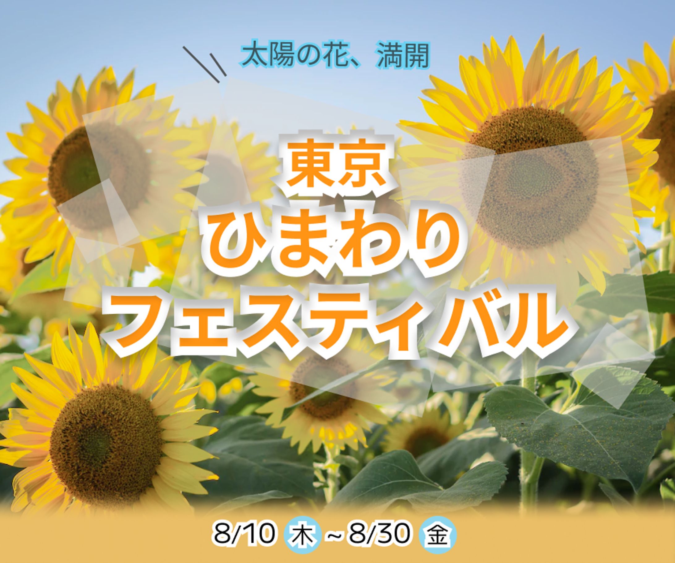 【バナー】ひまわりフェスティバル-1