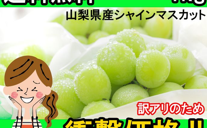 バナーサンプル①