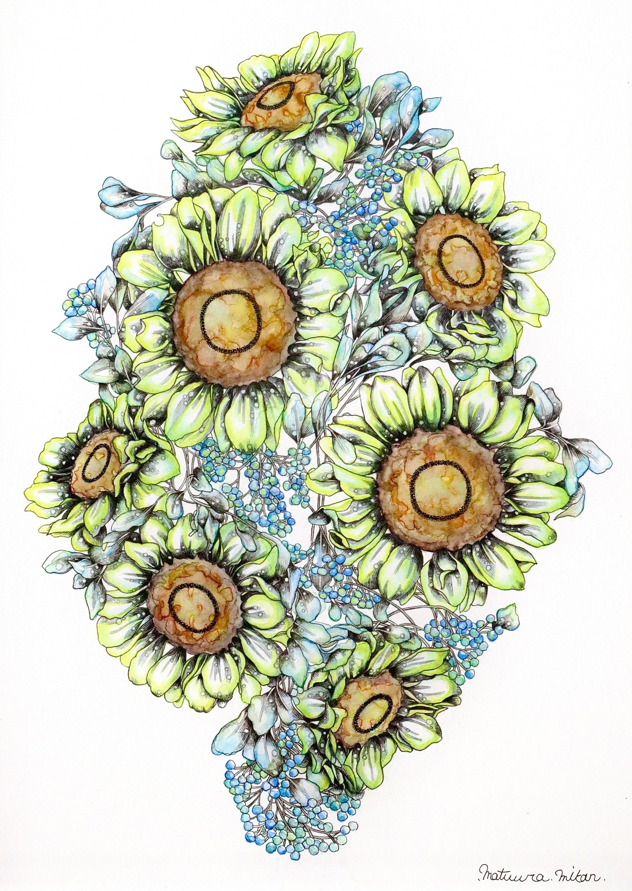 向日葵 sunflower-1