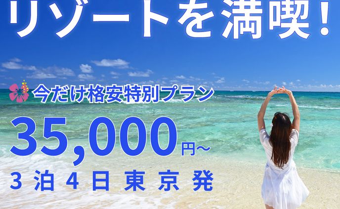  沖縄旅行キャンペーンバナー（架空）