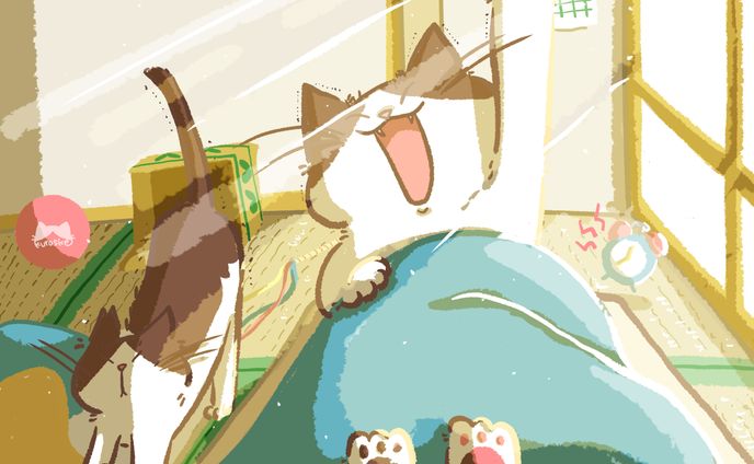 くろとくぅの1日