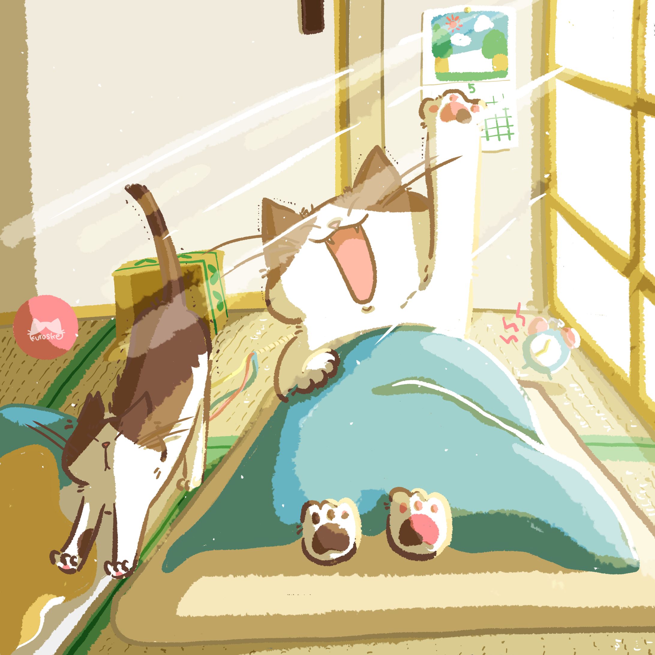 くろとくぅの1日-1