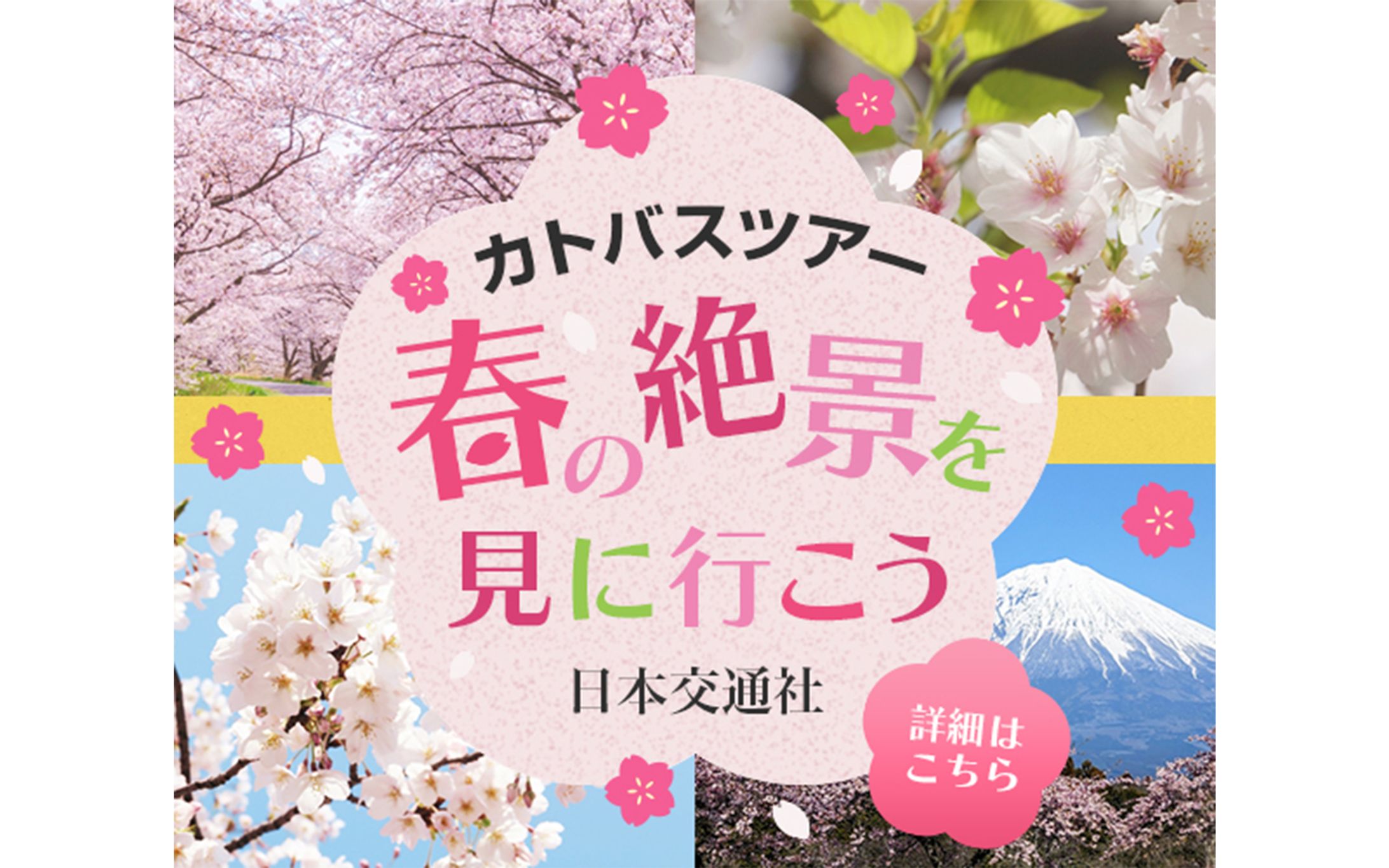 バナー（600×500）-1