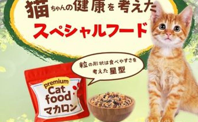 キャットフードバナー 