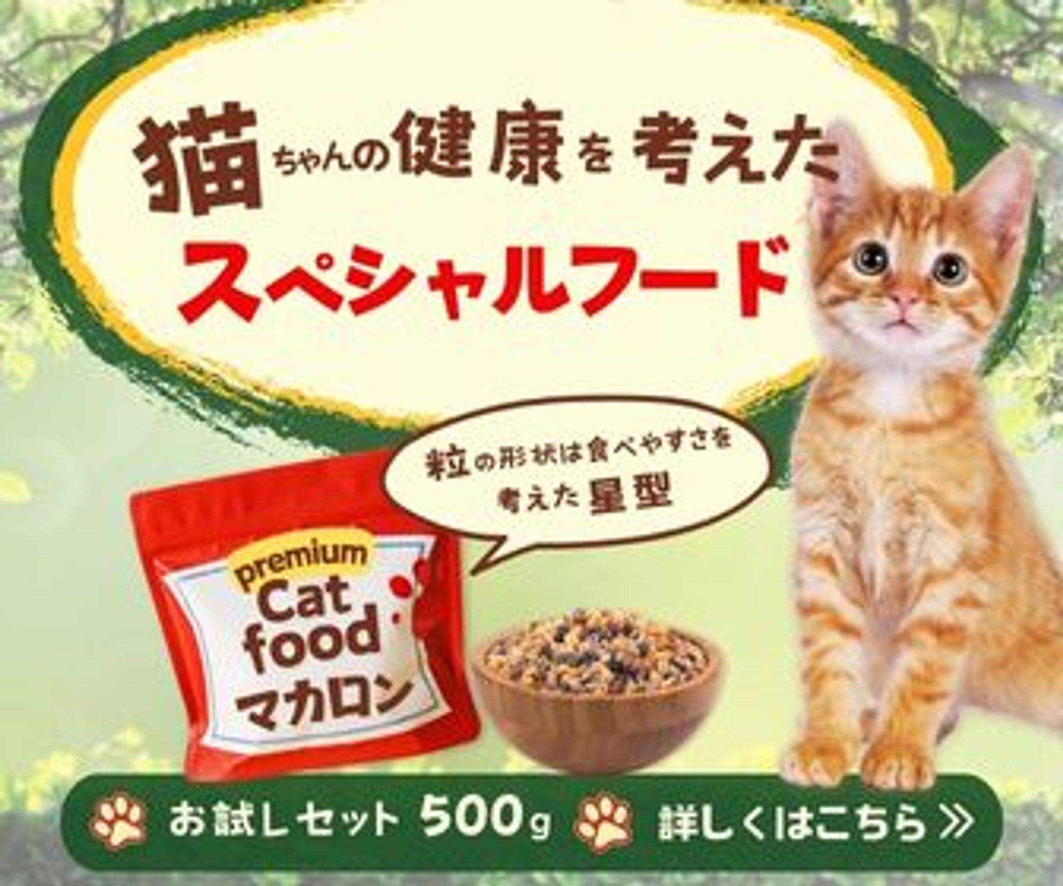 キャットフードバナー -1