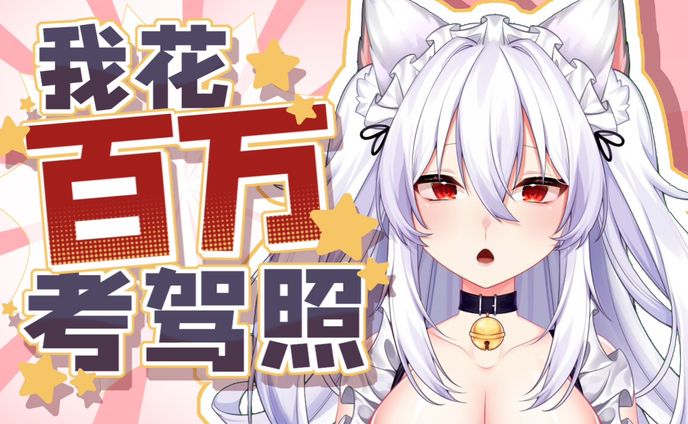 我花百万考驾照【20211030】