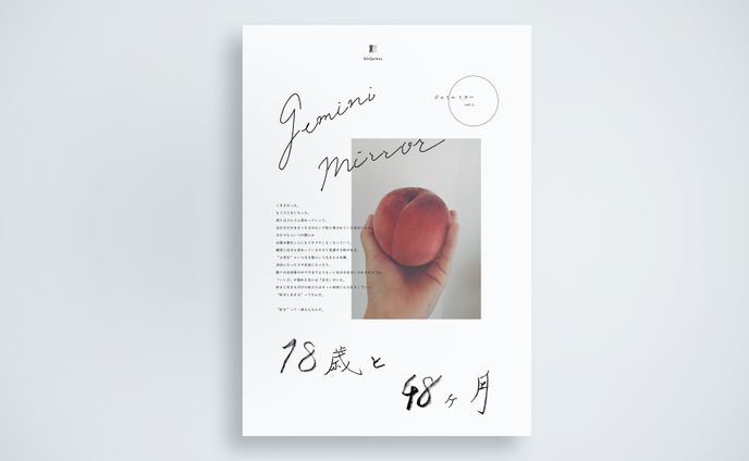 イラストレーター、デザイナー、ブックデザイン