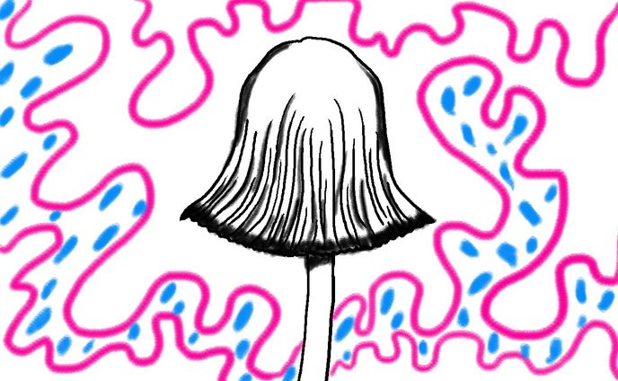 ヒトヨタケ
