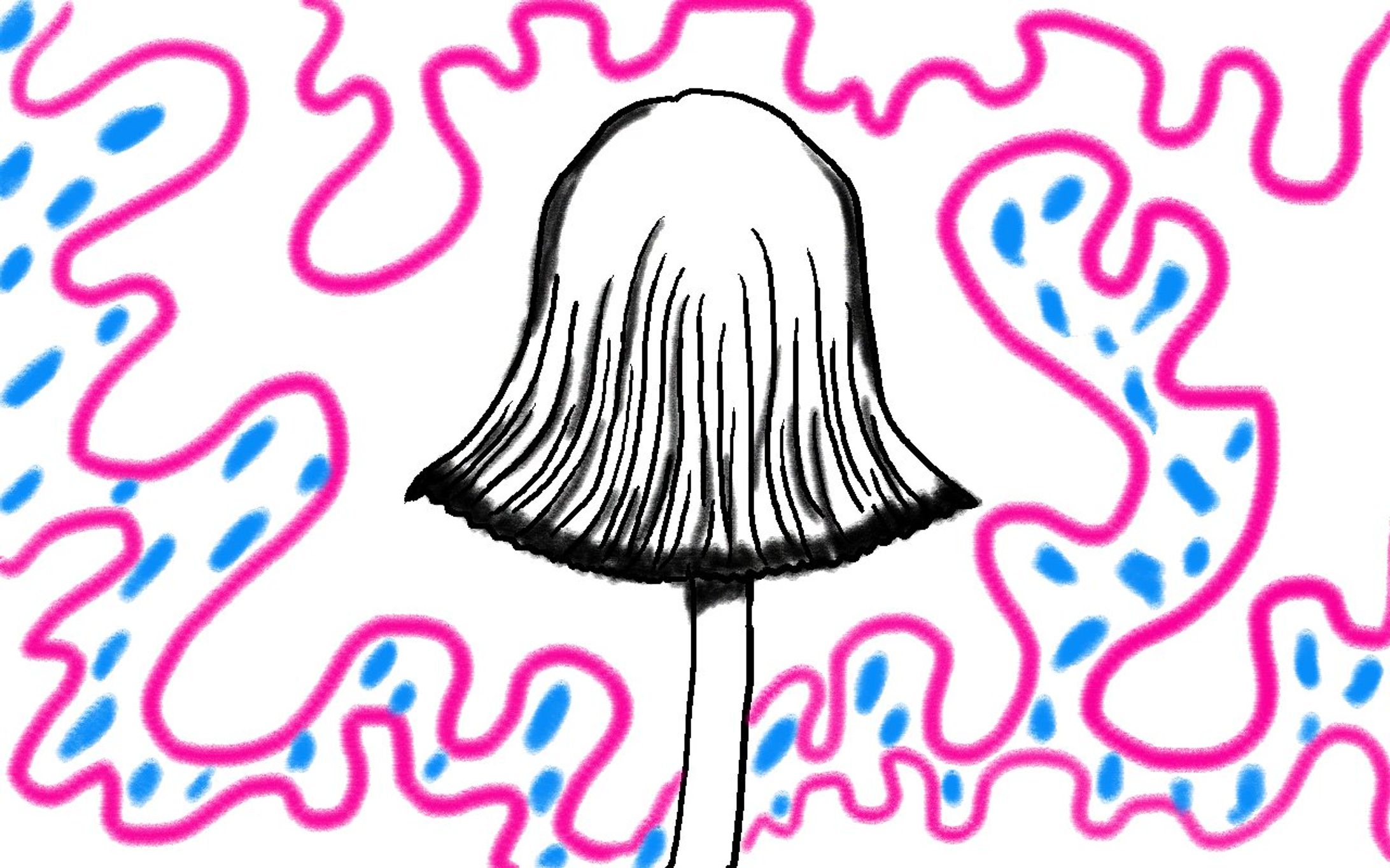 ヒトヨタケ-1