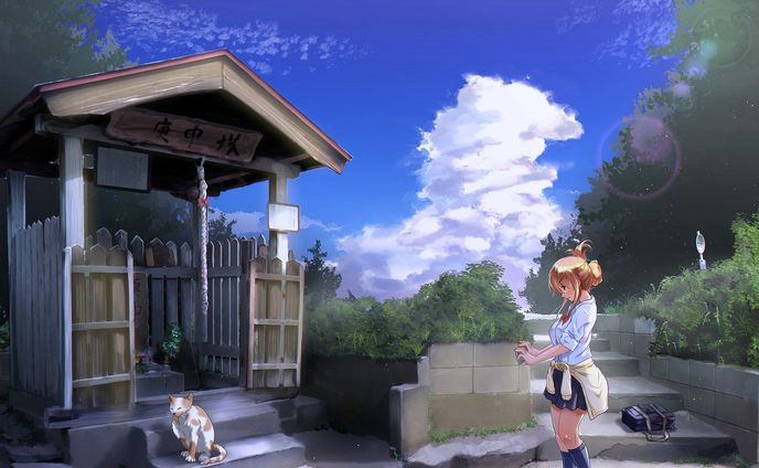 夏と猫と社